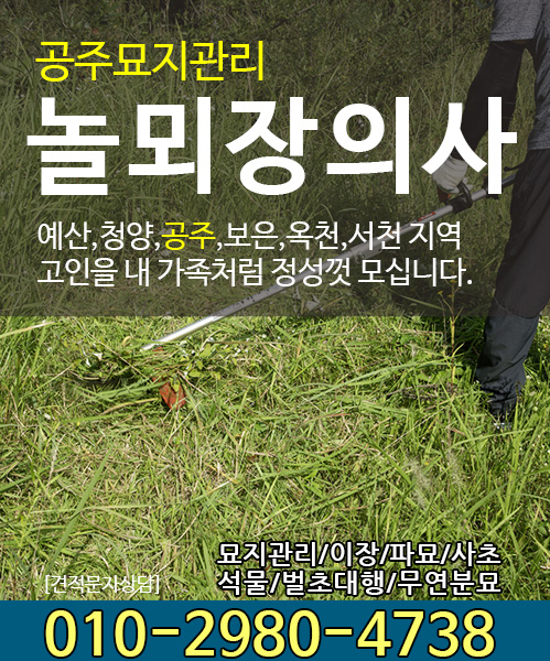 놀뫼장의사 모바일 비주얼 0