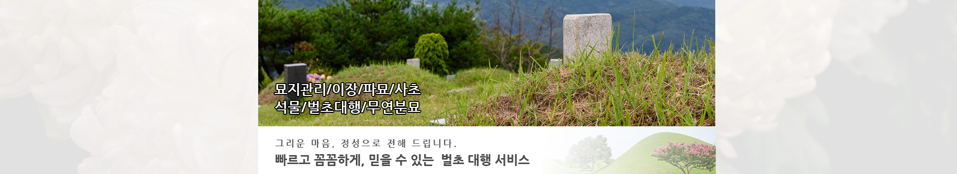 놀뫼장의사 PC 비주얼 0